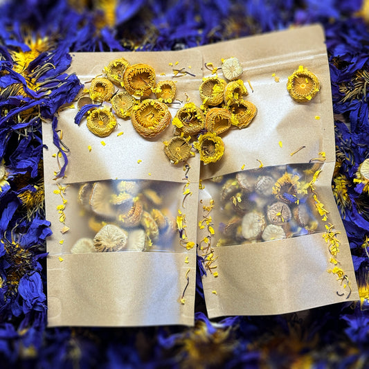 Blauer Lotus Pastillen | Stigma | Fruchtknoten | Nymphaea caerulea | 100% Bio Ägyptischer Blauer Lotus | Räucherwerk