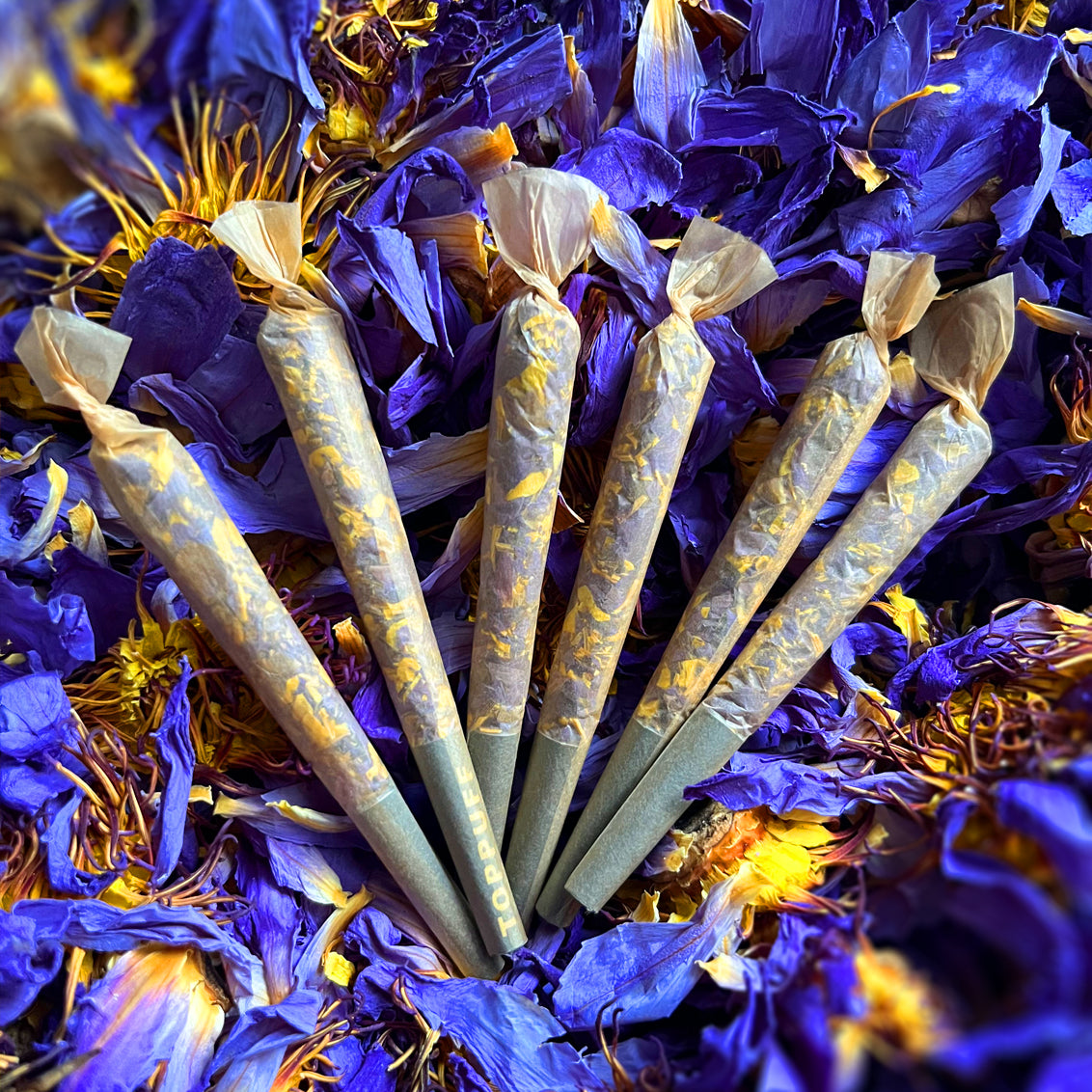 Sticks | Räuchersticks | Blauer Lotus | Blue Lotus | Nymphaea caerulea | 100% Bio Ägyptischer Blauer Lotus