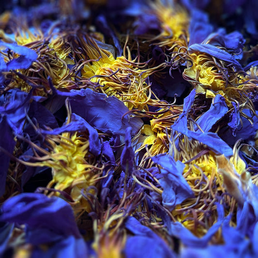 Blauer Lotus | Blue Lotus | Ganze Lotus Blumen | Nymphaea caerulea | 100% Bio Ägyptischer Blauer Lotus