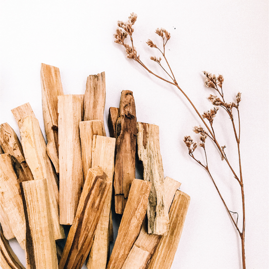 Palo Santo 5x | Räucherholz 10cm | Holz | Biologische Räucherstäbchen | Yoga | Meditation