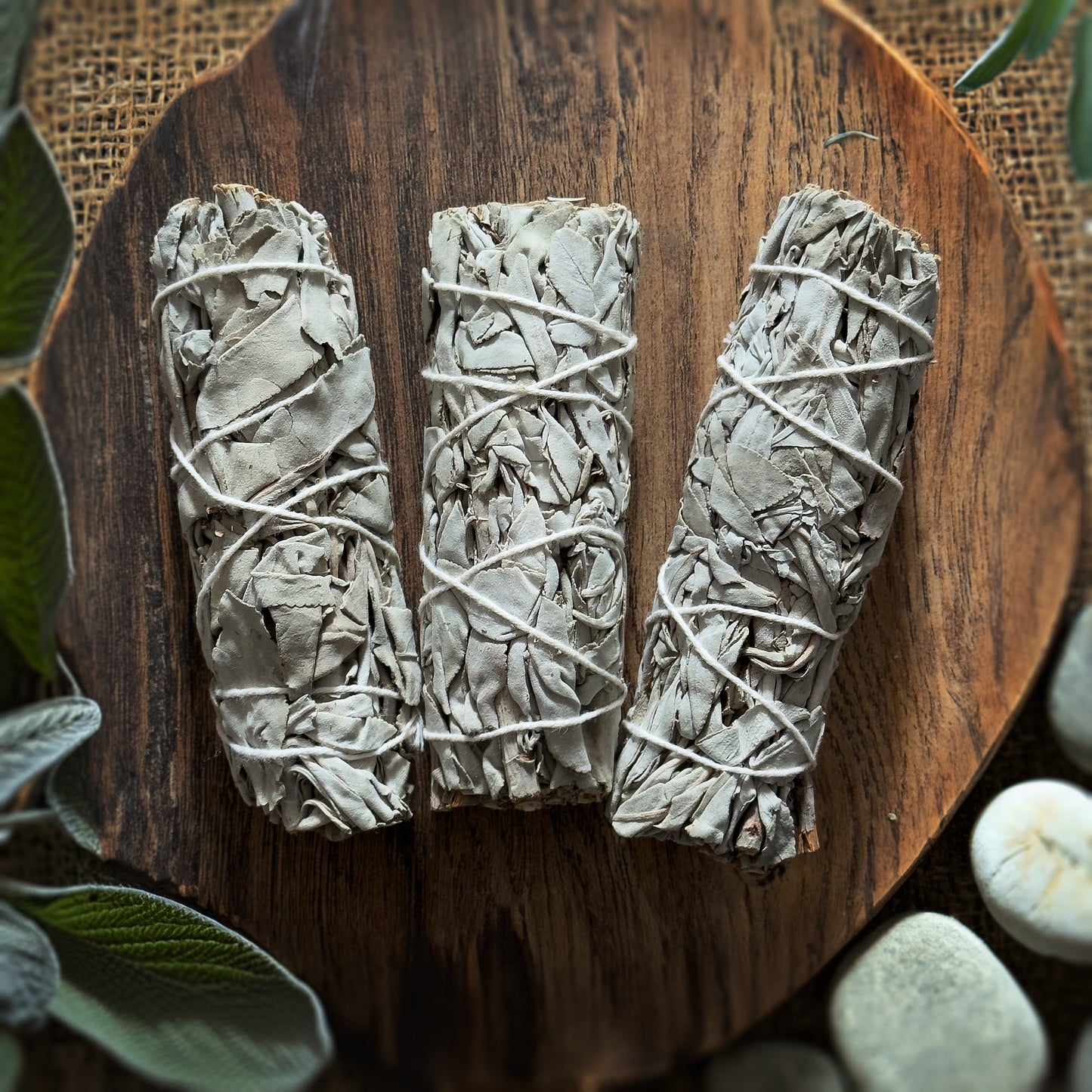 Weißer Salbei | Räucherbündel | Natürlich | 1 Stk. | Aromatherapie | Reinigung | White Sage